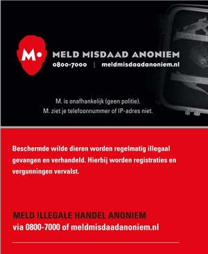 Illegale handel in dieren